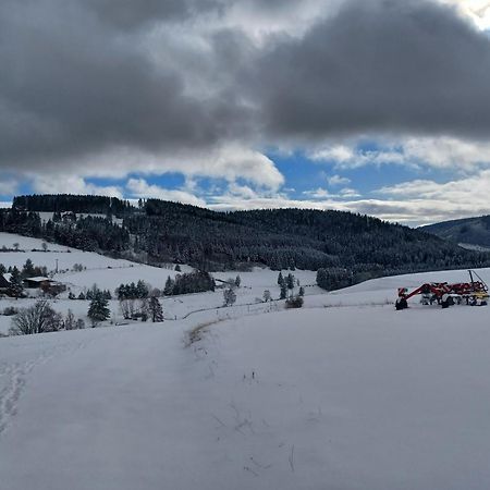 Villa Blockhaustraum à Titisee-Neustadt Extérieur photo