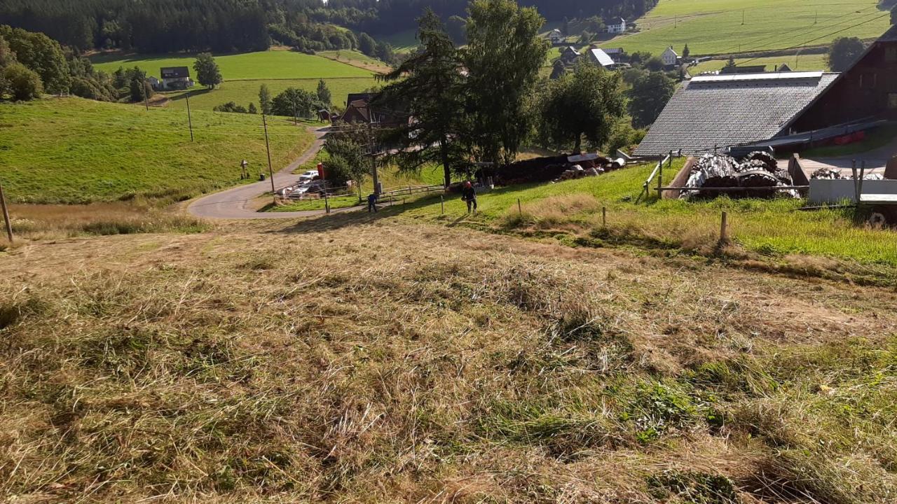 Villa Blockhaustraum à Titisee-Neustadt Extérieur photo